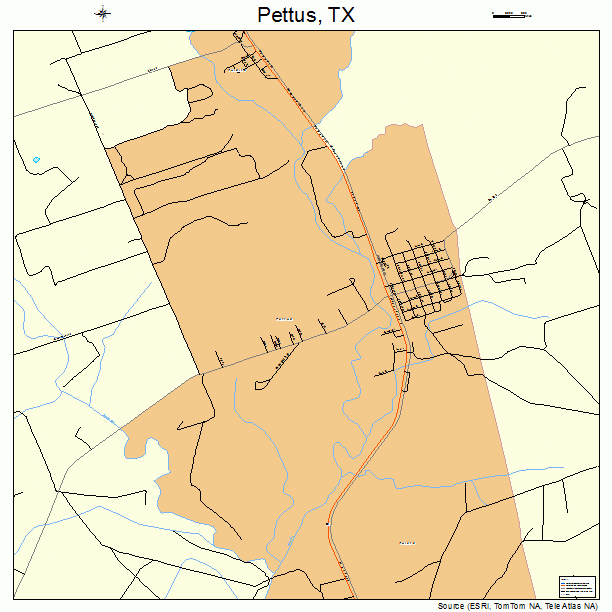 Pettus, TX street map