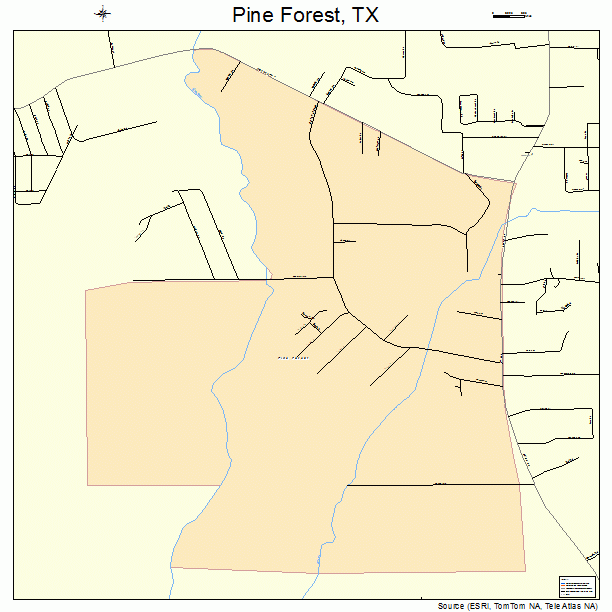 Pine Forest, TX street map
