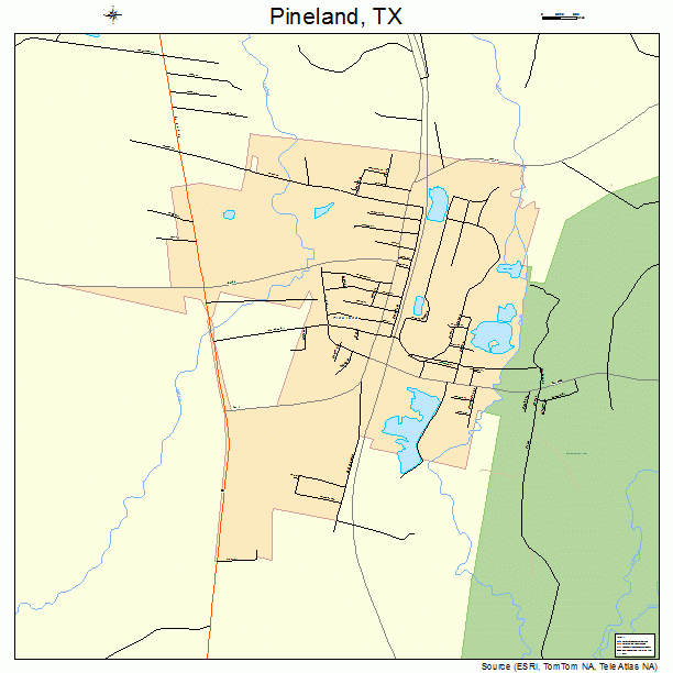 Pineland, TX street map