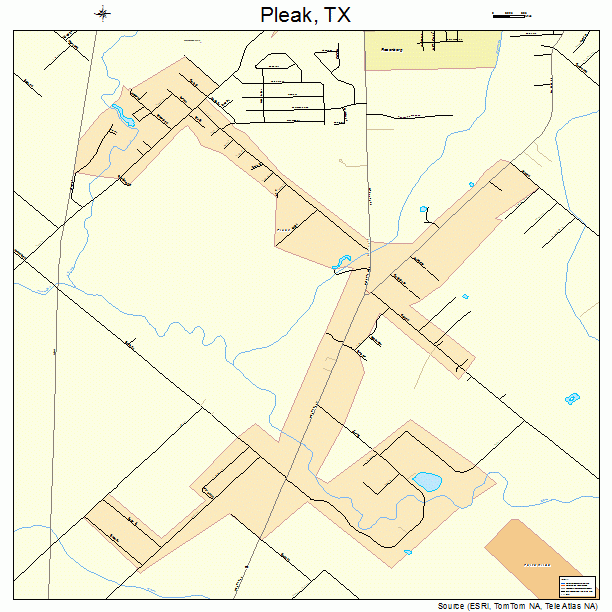 Pleak, TX street map