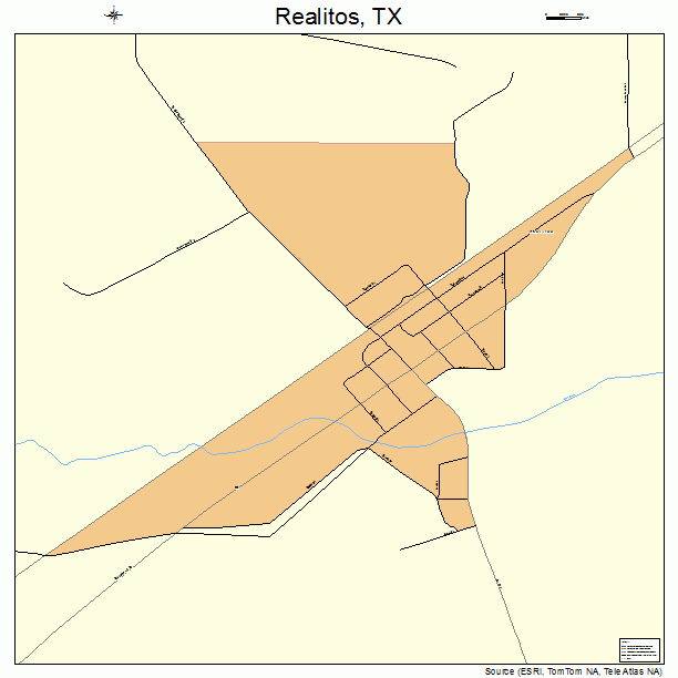 Realitos, TX street map