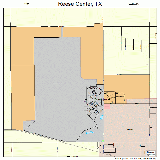Reese Center, TX street map