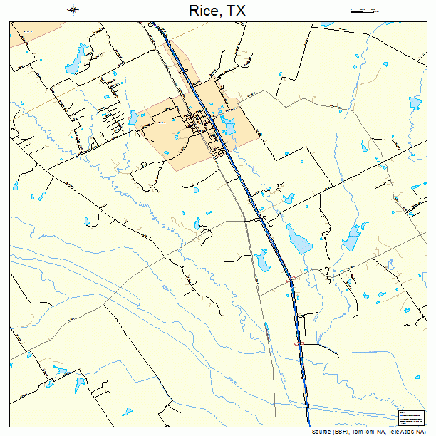 Rice, TX street map