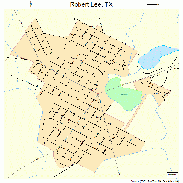 Robert Lee, TX street map