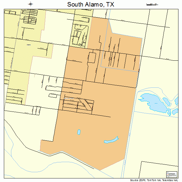 South Alamo, TX street map