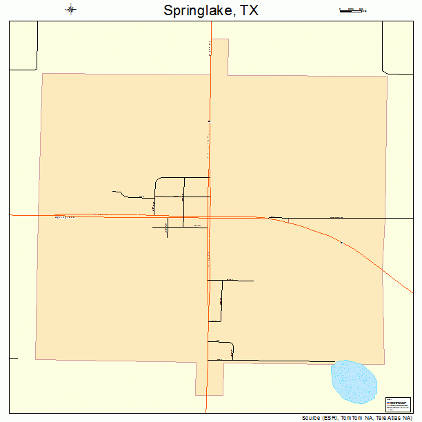 Springlake, TX street map