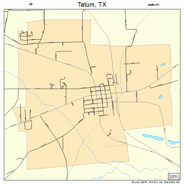 Tatum, TX street map