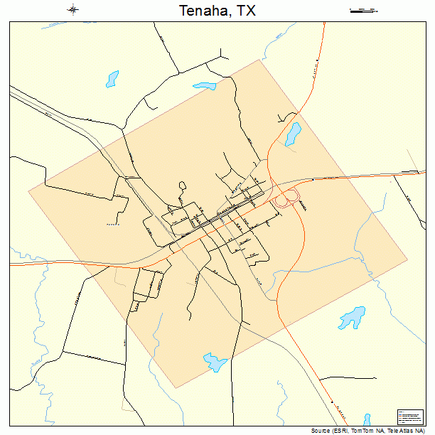 Tenaha, TX street map