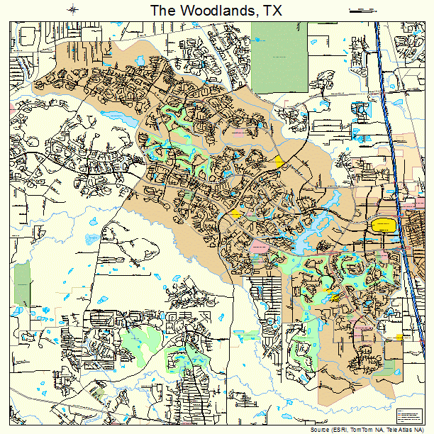 The Woodlands, TX street map