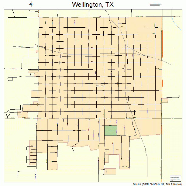 Wellington, TX street map