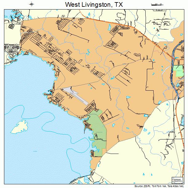 West Livingston, TX street map
