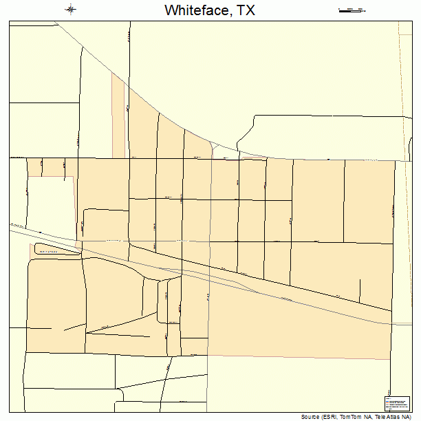 Whiteface, TX street map