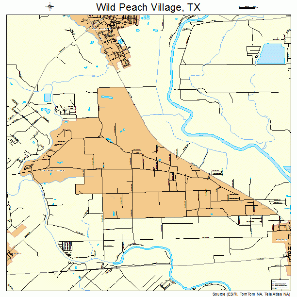 Wild Peach Village, TX street map