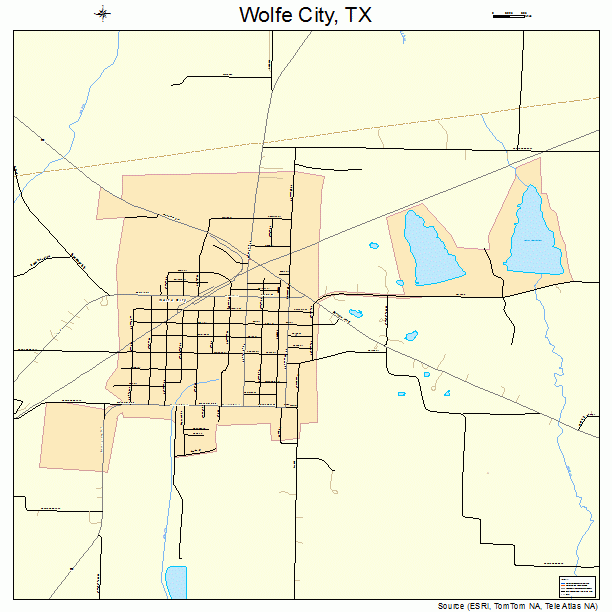 Wolfe City, TX street map
