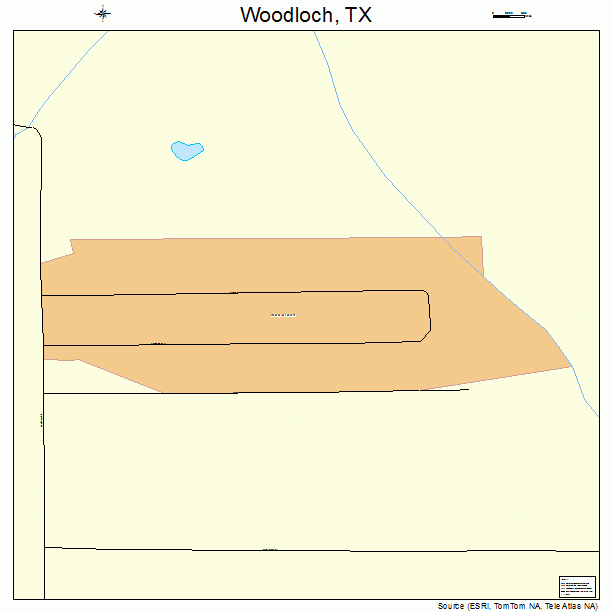 Woodloch, TX street map