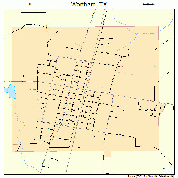 Wortham, TX street map