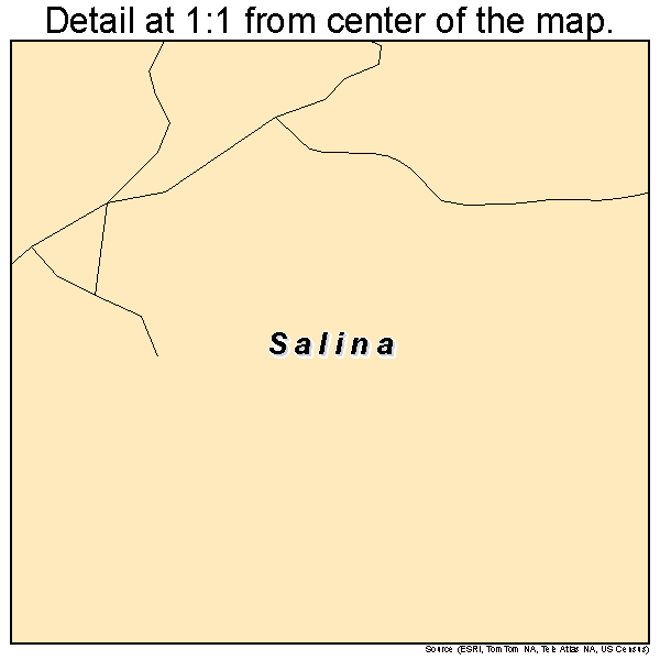 Salina, Utah road map detail