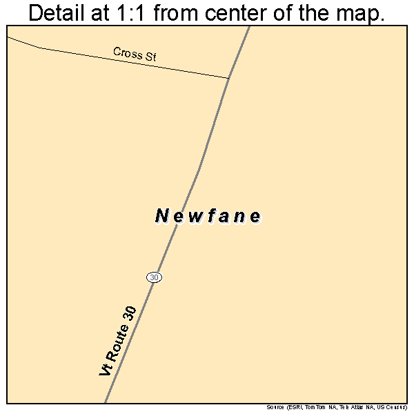 Newfane, Vermont road map detail