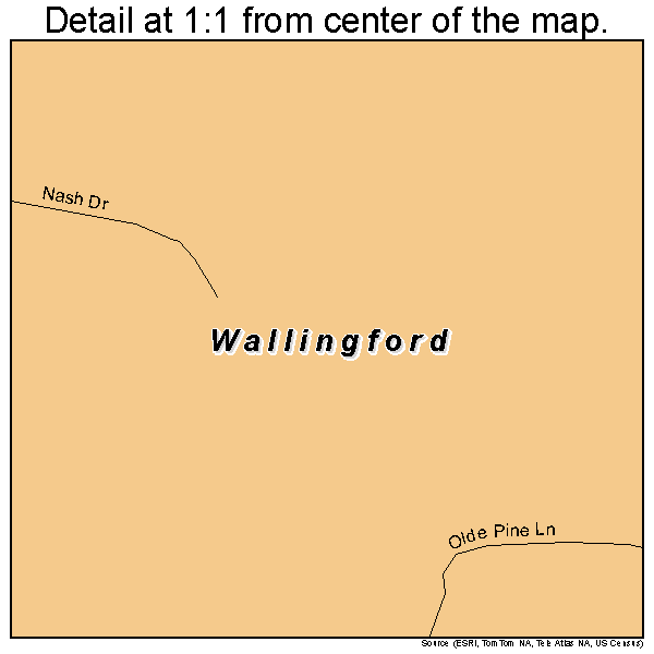 Wallingford, Vermont road map detail