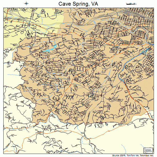 Cave Spring, VA street map