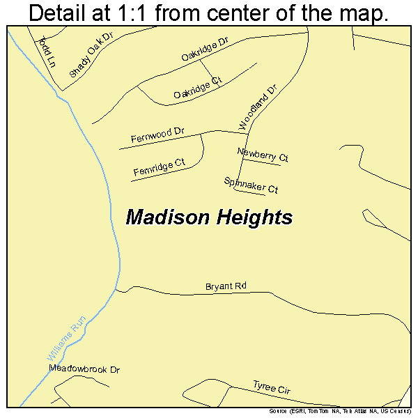 Madison Heights, Virginia road map detail