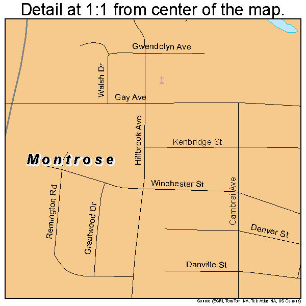 Montrose, Virginia road map detail