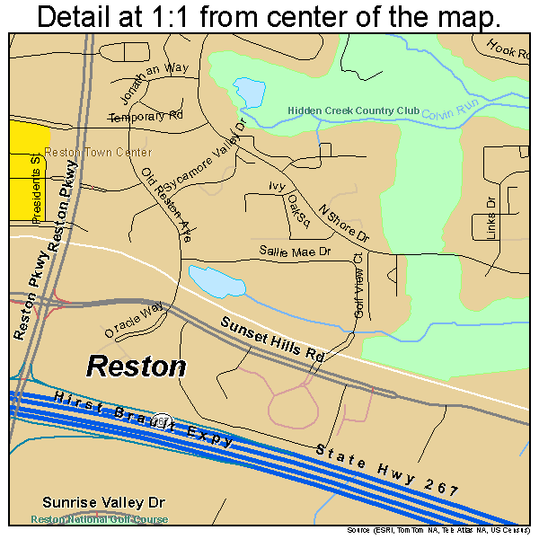 Reston, Virginia road map detail