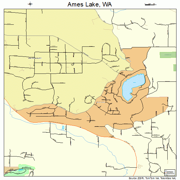 Ames Lake, WA street map