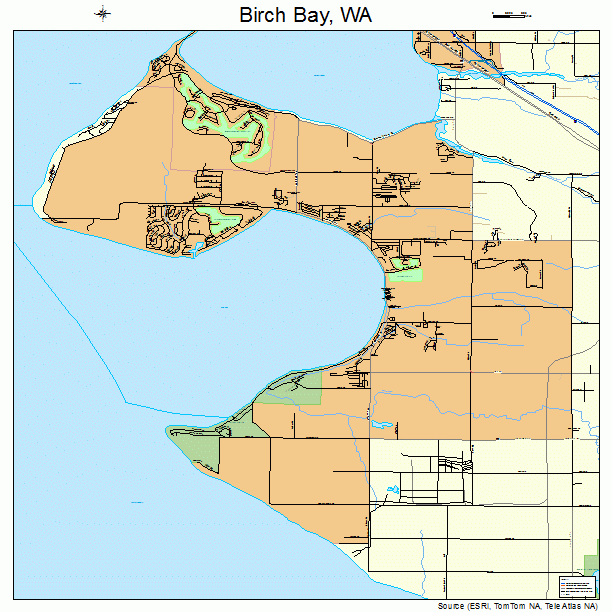 Birch Bay, WA street map