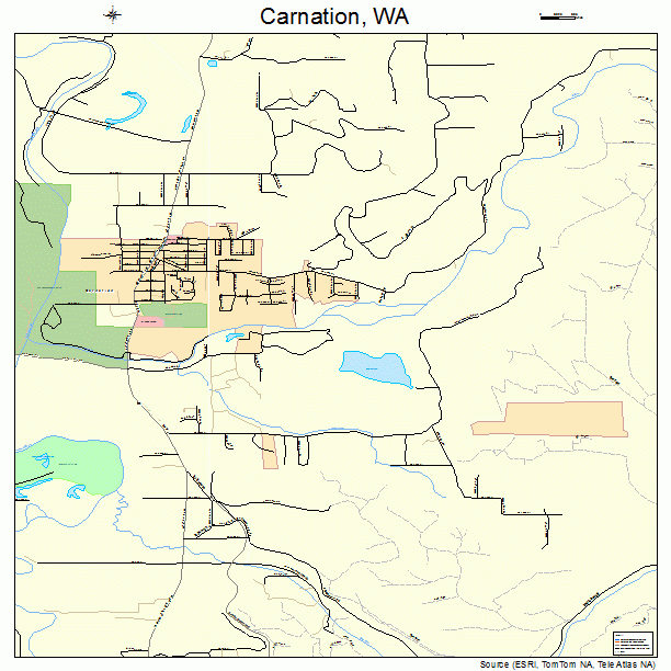Carnation, WA street map