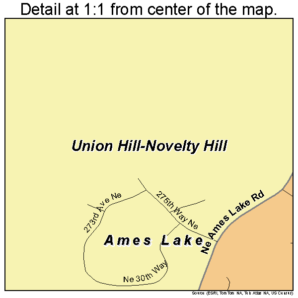 Ames Lake, Washington road map detail