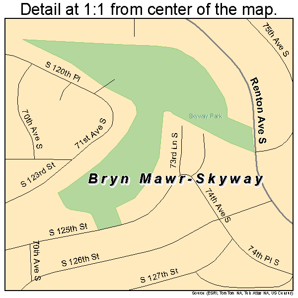 Bryn Mawr-Skyway, Washington road map detail