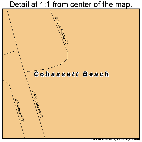 Cohassett Beach, Washington road map detail