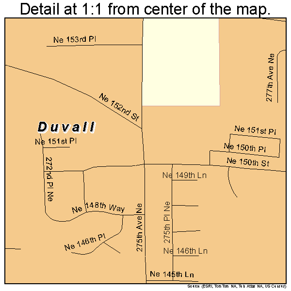 Duvall, Washington road map detail