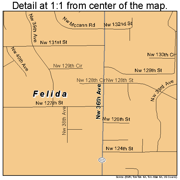 Felida, Washington road map detail