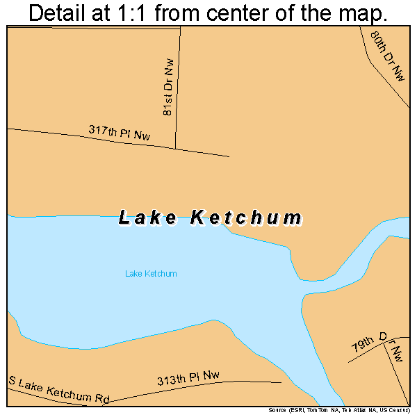 Lake Ketchum, Washington road map detail