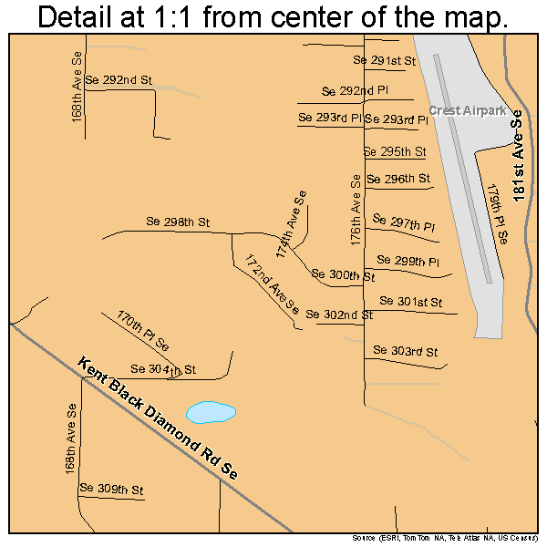 Lake Morton-Berrydale, Washington road map detail