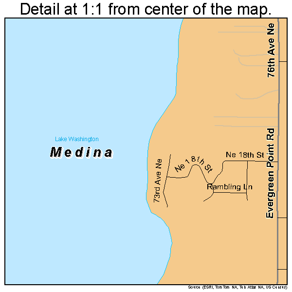 Medina, Washington road map detail