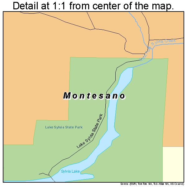 Montesano, Washington road map detail