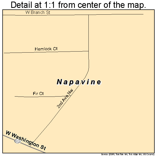 Napavine, Washington road map detail
