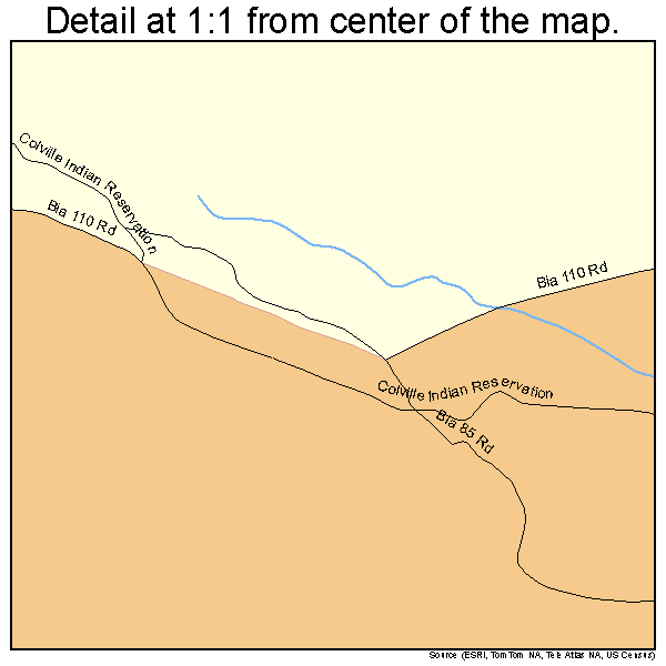 Nespelem Community, Washington road map detail