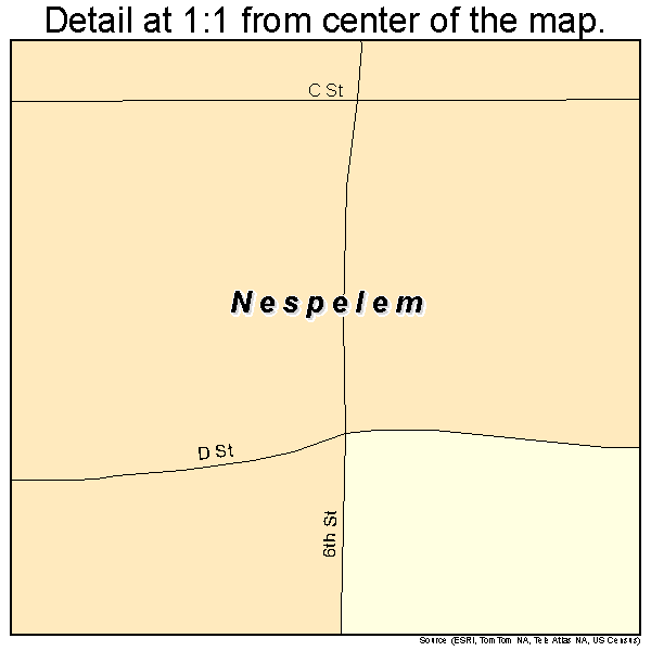 Nespelem, Washington road map detail