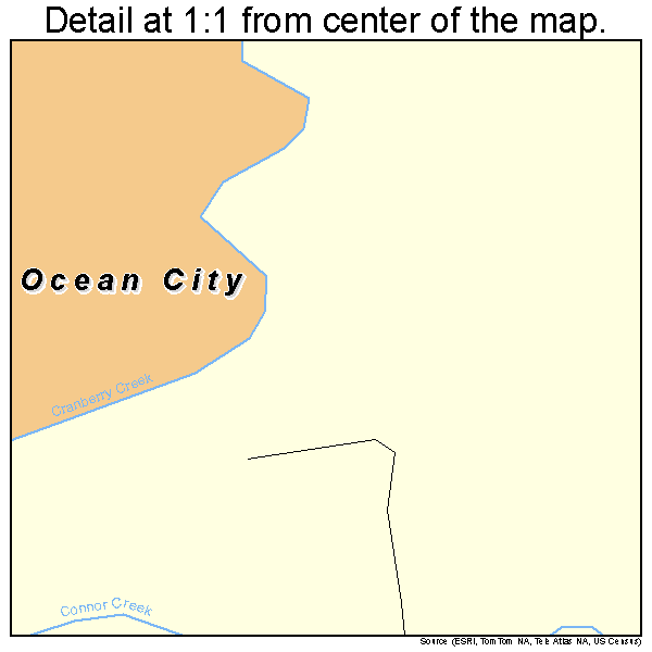 Ocean City, Washington road map detail