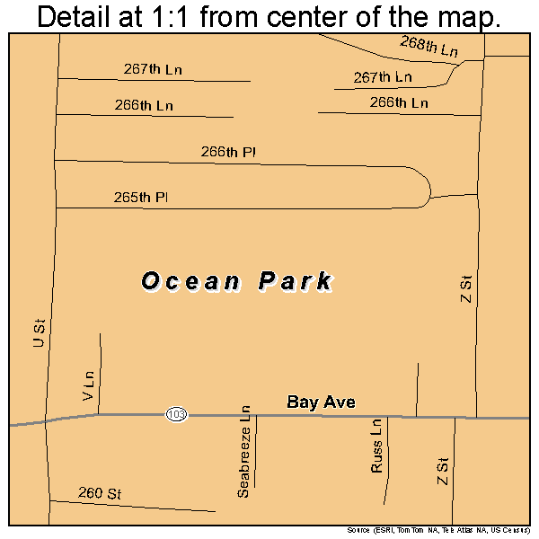 Ocean Park, Washington road map detail