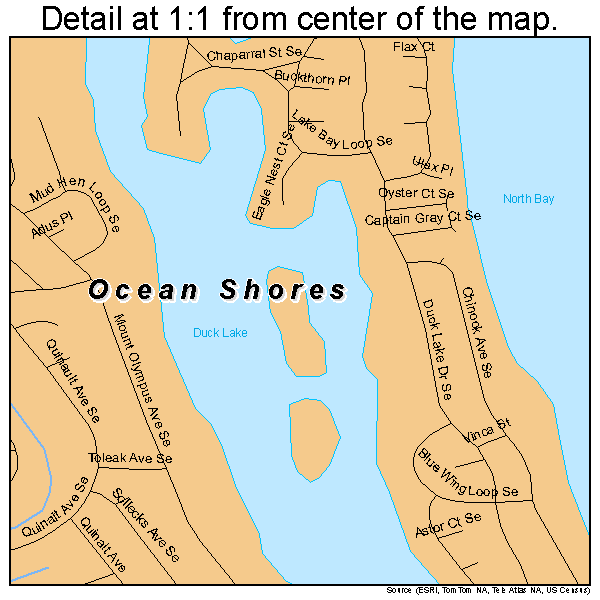 Ocean Shores, Washington road map detail