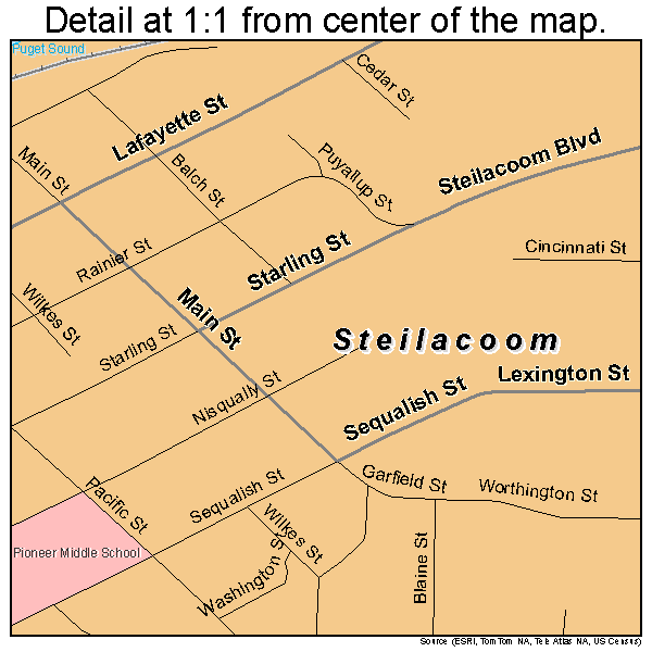 Steilacoom, Washington road map detail