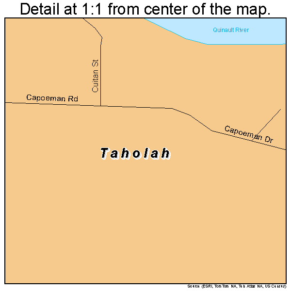 Taholah, Washington road map detail