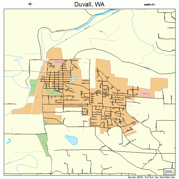 Duvall, WA street map