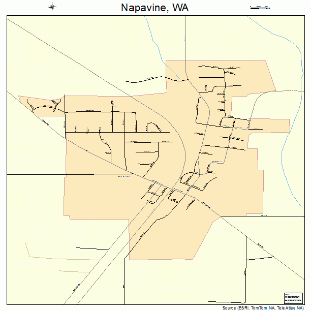 Napavine, WA street map