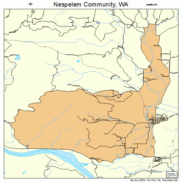 Nespelem Community, WA street map